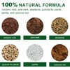 Doter Premium Bonsai Soil Mix with Enhanced Aeration & Drainage
