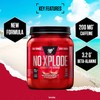 BSN Nutrition N.O.-Xplode Pre Workout Powder Food Supplement, Energy and