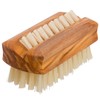 Redecker Olive Wood Nail Brush (Pig Hair)