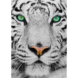 ENJOY Puzzle Portrait of White Siberian Tiger – 1000 Pieces Jigsaw Puzzle for Adults – Matte Finish, Soft Touch, Easy to Assemble, Tight Fit, Vivid Colors, Missing Pieces Service
