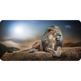 Lion Resting On Rock Photo License Plate