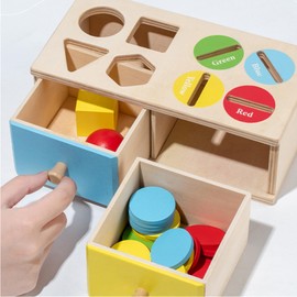 Biottro Montessori Toys for 3 4 5 Year Old - Shape Sorter Matching Color Sorting Recognization Sensory Toys for Toddlers Boy Girl Education Preschool Fine Motor Skills Box Gift