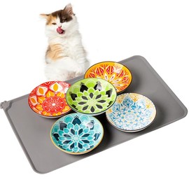 Boho 5 Ceramic Cat Bowls with Silicone Mat, 5.5 inch Wide Shallow Cat Food Bowl for Whisker Relief
