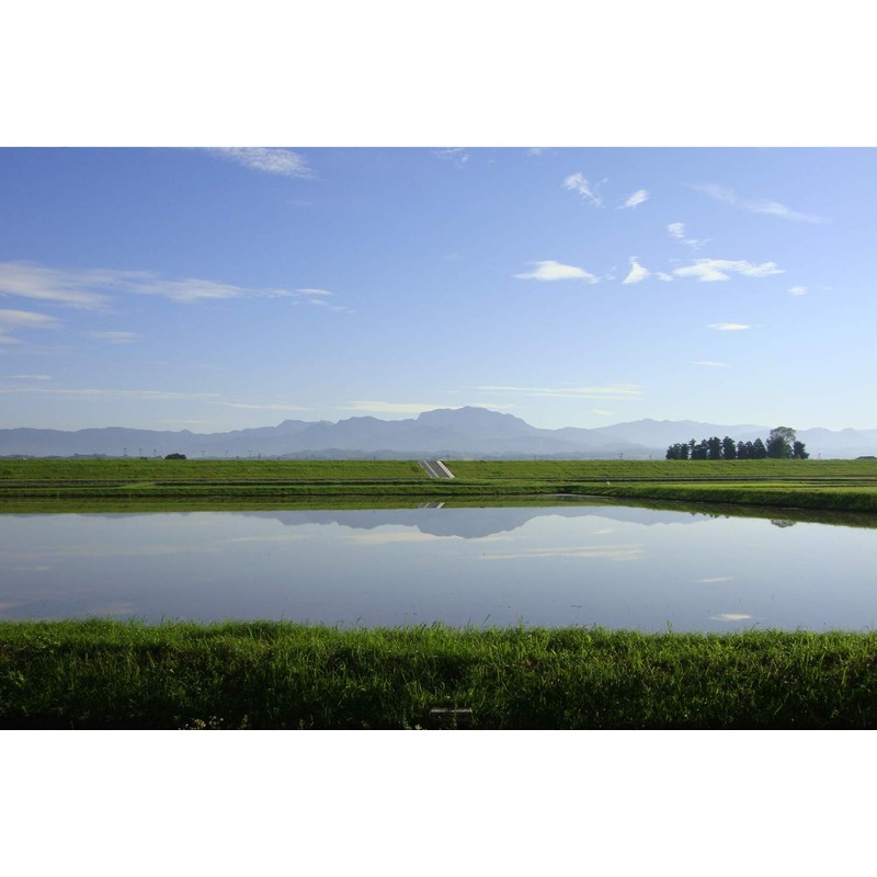 Kinako Roasted Roasted Flour 200 g x 2 Bag Set,