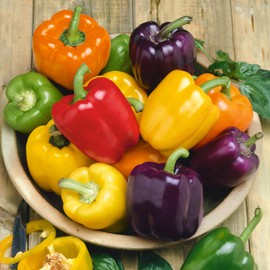 Rainbow Bell Blend Sweet Pepper Seeds - 4 Oz ~20000 Seeds - Non-GMO - Vegetable Garden - Capsicum annuum