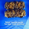 Bancoo Natural Sea Sponge Roller-6inch- Art Sponge Paint Roller for