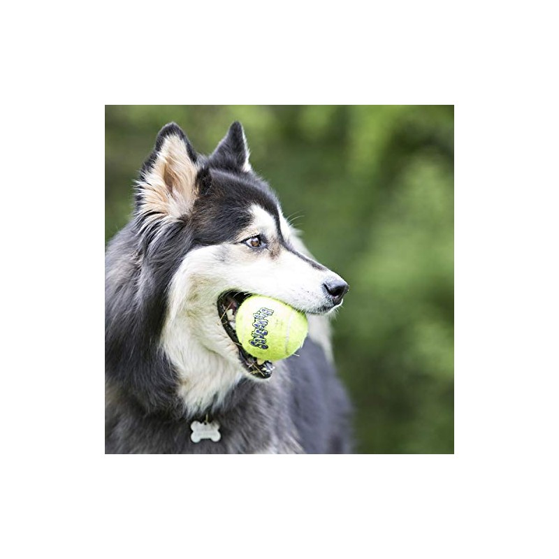 Kong AirDog Squeaker Ball wRope Medium Dog Toy