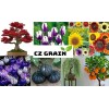 CZ GRAIN 100 Glass Gem Indian Corn Seeds for Planting