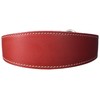BBD Pet Products Whippet Slip Collar, One Size, 3/4 x