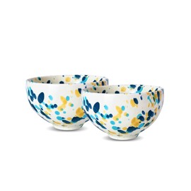 QILORYA Small Ceramic Bowl Set of 2, Rice/Ice Cream/Cereal/Soup Bowls for Kitchen - 5 inch, 15 oz Small Serving Bowls for Snack, Dessert, Side Dishes, Oatmeal, Microwave Safe.