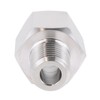 Goldpea Stainless Steel 304 1/4" NPT Female x M14*1.5 Male