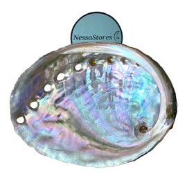 NessaStores 6 Abalone Shells 2.5 to 3.5 Inches | Beautiful All Natural Smudge Bowl - Perfect for Smudge Sticks, Incense Sticks and a Sage Smudge Kit. JC-020