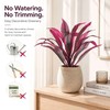 Artificial Dragon Blood Plant Set, 6 Pack Outdoor Cordyline Fack