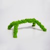 Jinymral 6 Inch Pet Snail Climbing Toys, Ideal Snail Terrarium