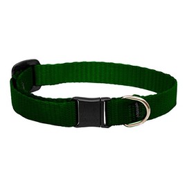 LupinePet Basics 1/2" Green Cat Safety Collar , 8-12"