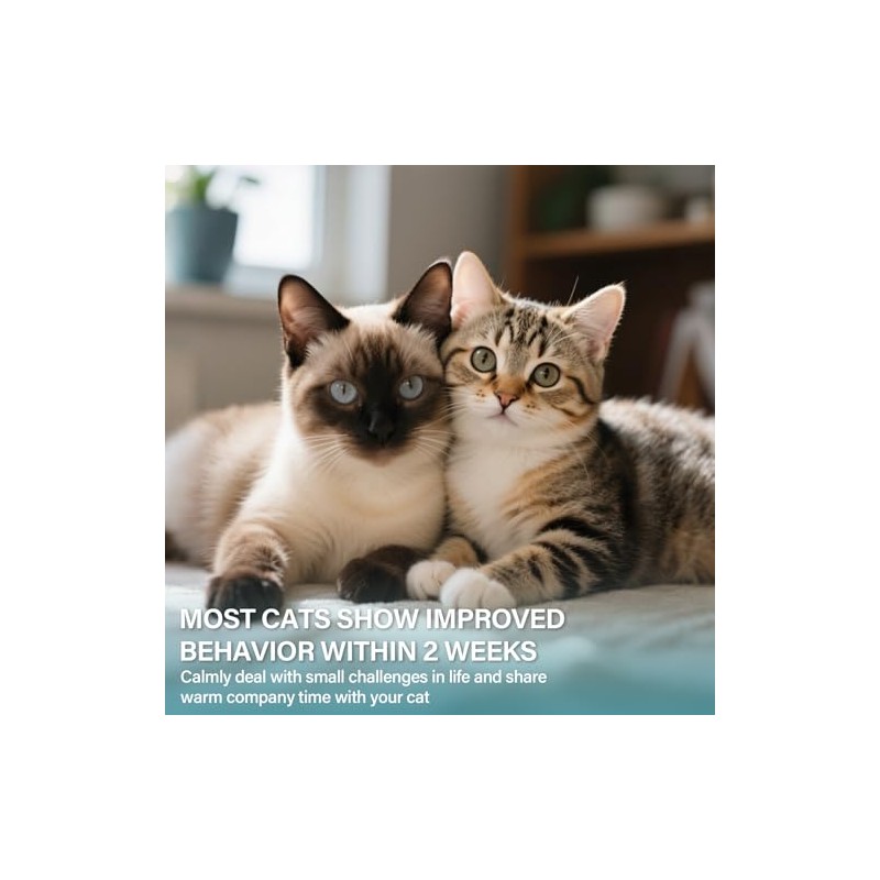 Cat Calming Diffuser Refill 6 Pack Cat Calming Pheromone Diffuser