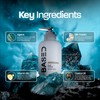 Based Bodyworks Curl Cream | Instant Definition & Hydration |