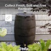 RTS Home Accents 50-Gallon Rain Barrel with Brass Spigot, Flat