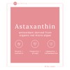 GP Nutrition Astaxanthin - Super Antioxidant Haematococcus Pluvialis, 100% Pure,