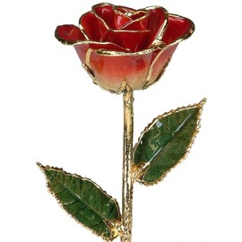 24k Gold Rose - Real Rose Dipped in Gold (2-Tone Red)
