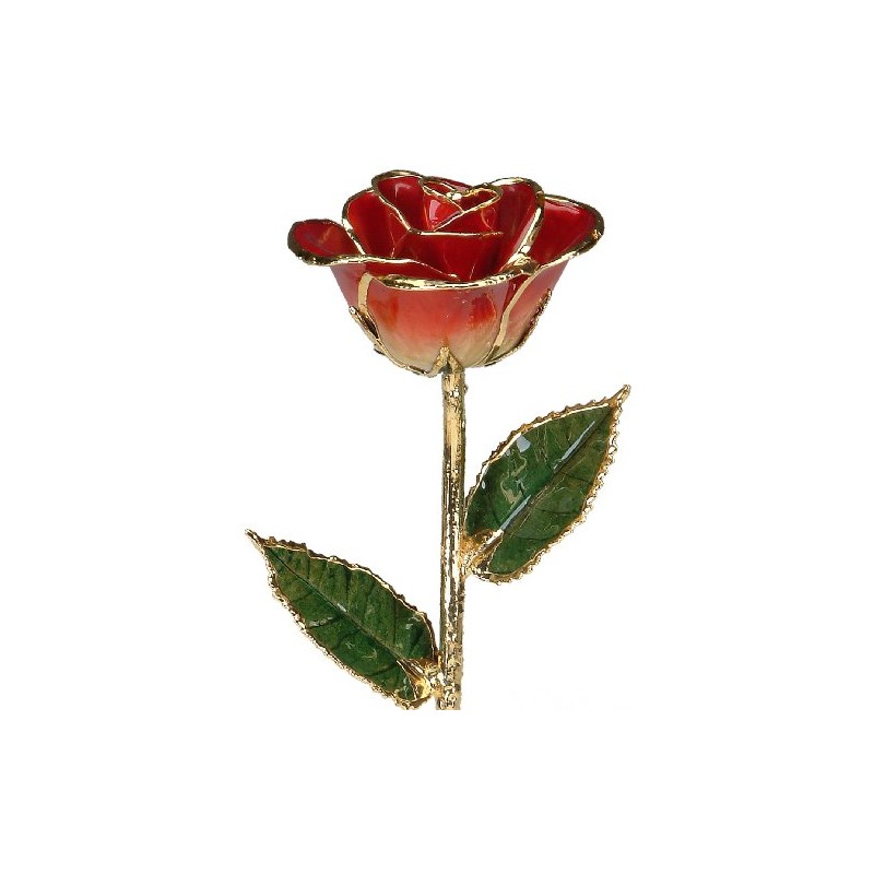24k Gold Rose - Real Rose Dipped in Gold (2-Tone