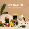 Essential Oil Set 80 Pcs - 100% Natural Essential Oils