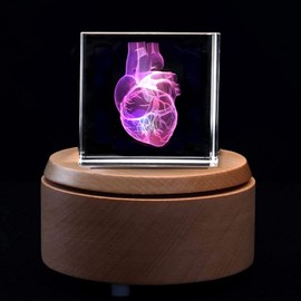XINDAM 3D Human Heart Anatomical Model Statue Paperweight(Laser Etched) in Crystal Glass Cube Science Gift (No Included LED Base)(2.3x2.3x2.3 inch)