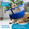 SNUGGO Dog Surgery Collar - Soft Dog Collar After Surgery
