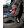 Buckle Guard PRO seat belt button cover, Baby Proof Your