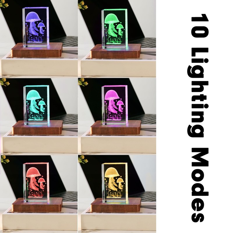 IFOLAINA LED Wood Light Base for Crystal Glass Art Crystal