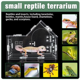 ZUIFIANLE Acrylic Jumping Spider Enclosure - Versatile Reptile Enclosure with One-Click Magnetic Closure, Perfect for Tarantula, Gecko, Chameleon, Beetle, Mantis, and Hermit Crab