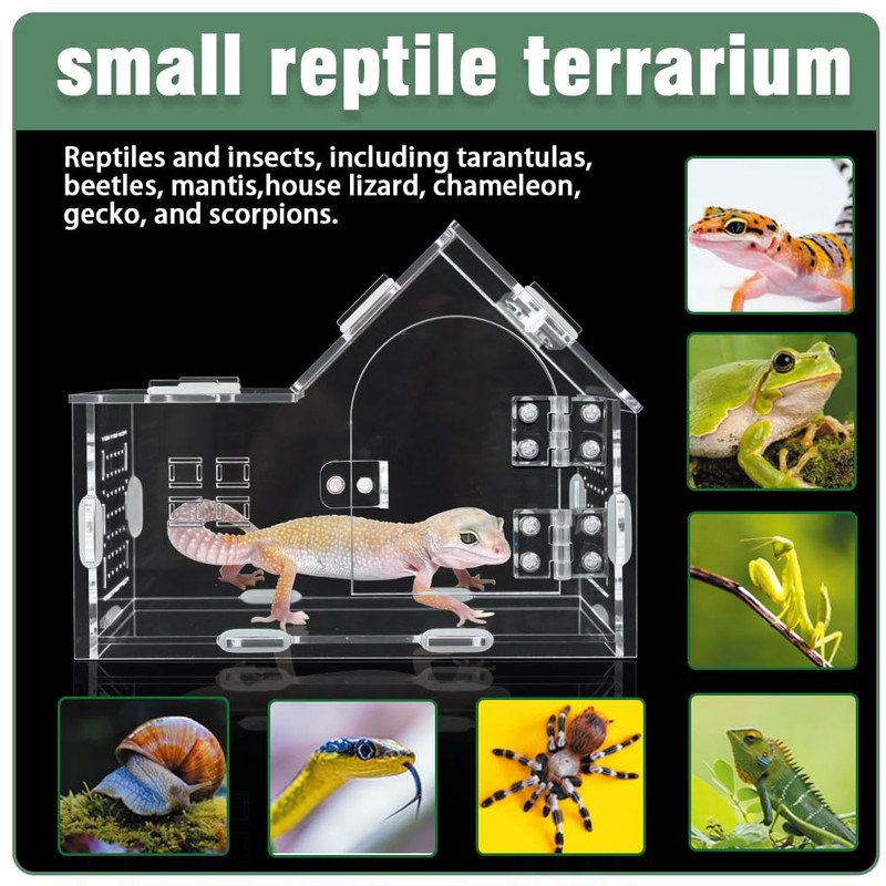 ZUIFIANLE Acrylic Jumping Spider Enclosure - Versatile Reptile Enclosure with