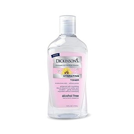 Dickinson's Enhanced Witch Hazel Alcohol Free Hydrating Toner, 16 Fluid Ounce (Pack of 6)