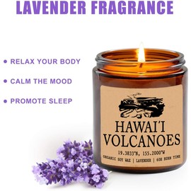 Hawai'i Volcanoes National Park - Organic Soy Wax - Gift for Her - Gift for Him - New Home Gifts - Birthday Gift for Friend - National Park Gifts - National Park Candles
