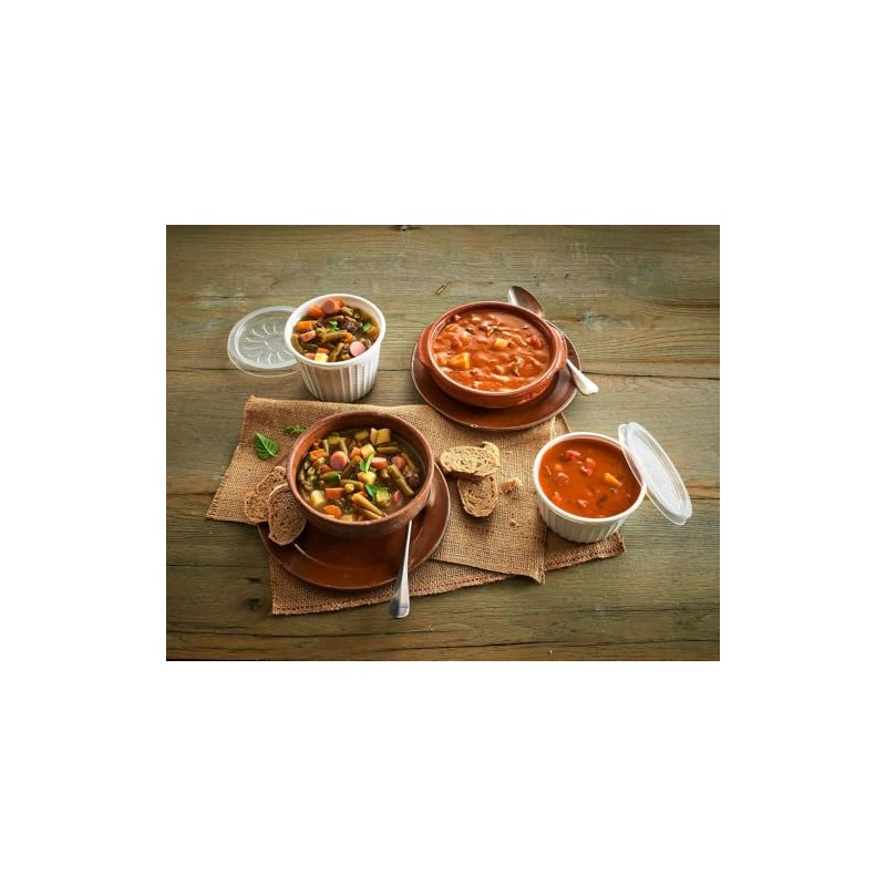VEPATIM Soup to Go Airpac Soup Cups Thermal Insulating Polypropylene