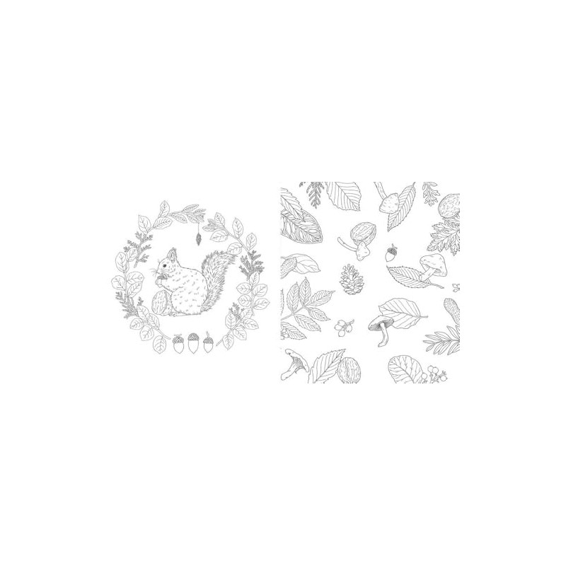 Harmony of Nature: Unwind. Create. Color.