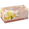 Reeflex Facial Tissues 230 Per Box 8" X 7" Size,