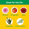 Miracle-Gro Water Soluble All Purpose Plant Food, Feed Flowers, Vegetables,