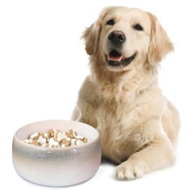 Byer of Maine Pet Bowl – High-Fired Porcelain Stoneware, Food-Grade Safe, Dishwasher Safe, Non-Slip Dog Bowl for Large Breeds in Biscuit