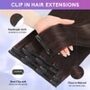 ZNXDJXE Dark Brown Clip in Hair Extensions Real Human Hair