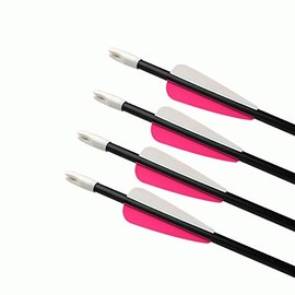 CQ 28inch Target Archery Arrows Practice Fiberglass Arrows for Recurve Bow Training Arrows for Kids Youth and Teens