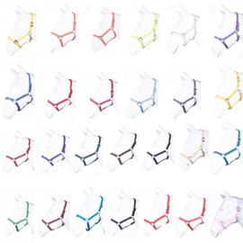 HKM by Reiterladen24 Basic Line Headcollar Petrol Thoroughbred