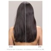 Davines OI Shampoo - All Hair Types - Roucou Oil