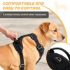 Kvvkii Dog Harness, Adjustable No-Pull Harness with 2 Leash Buckles,