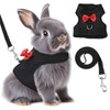 Soft Breathable Mesh Rabbit Leash Vest with Safety Buckles