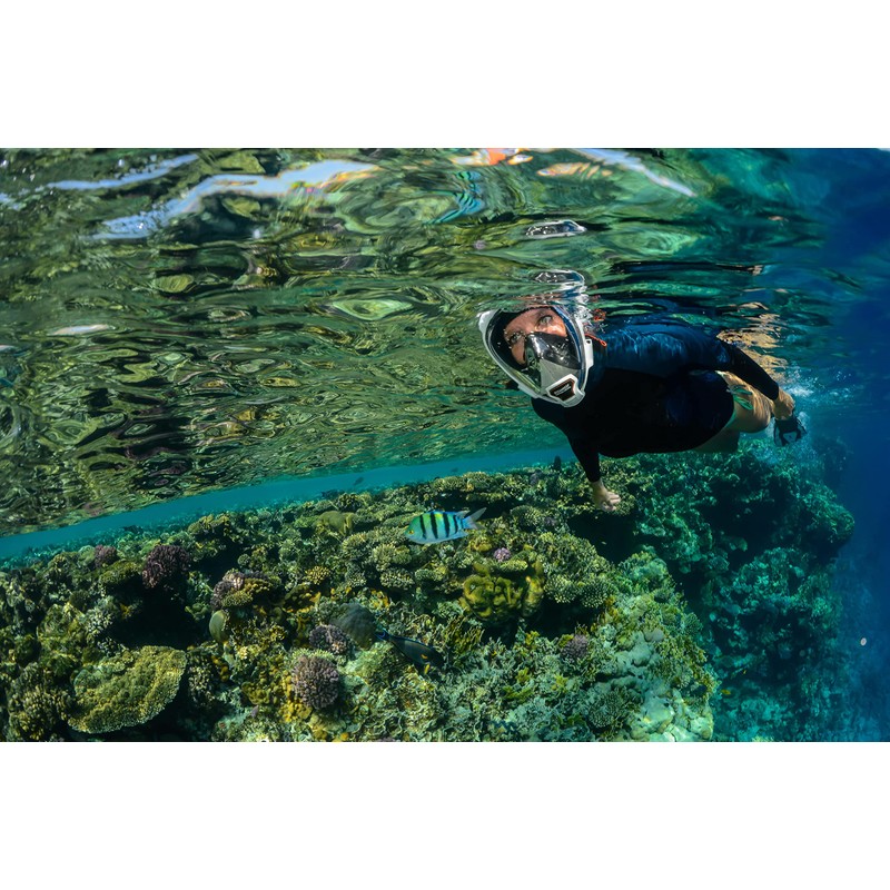 OCEAN REEF - Aria QR+ Maschera Snorkeling Integrale a Rilascio