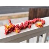 FIll your box live - Articulated Dragons, Figurines, Fidgets, minis