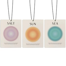 ZFQ Sun Salt Sea Beach Air Freshener for Car, Retro Y2K Coastal Beachy Air Freshener Hanging 3 Pcs for Cars Closet Drawer or Books, Preppy Summer Beach Car Mirror Decor for Women