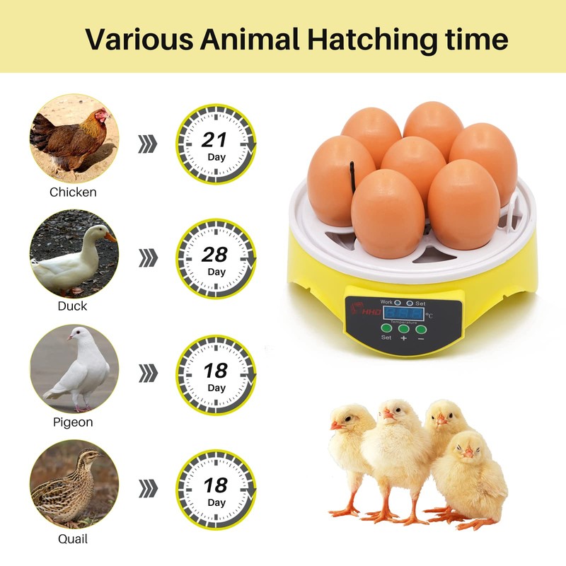 Yuecheng BREUAILY Mini 7 Egg Incubator Poultry Incubator,Fully Automatic chick
