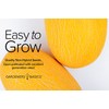 Yellow Canary Melon Seeds for Planting Heirloom, Non-GMO Vegetable Variety-